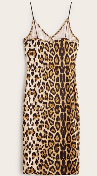 Leopard Print Bodycon Dress - Picture 3 of 4